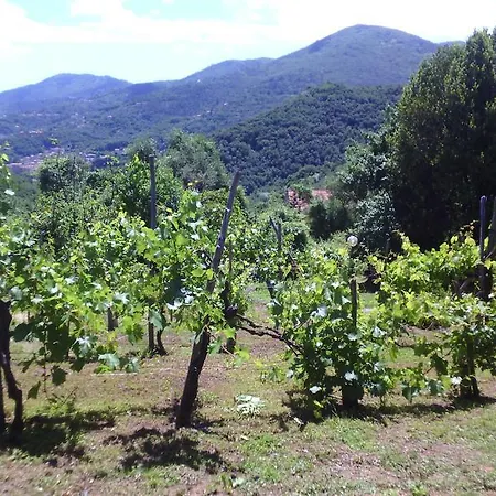 Apartamento Ca Du Giova *